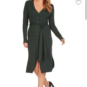 NWT Dex ribbed sweater dress